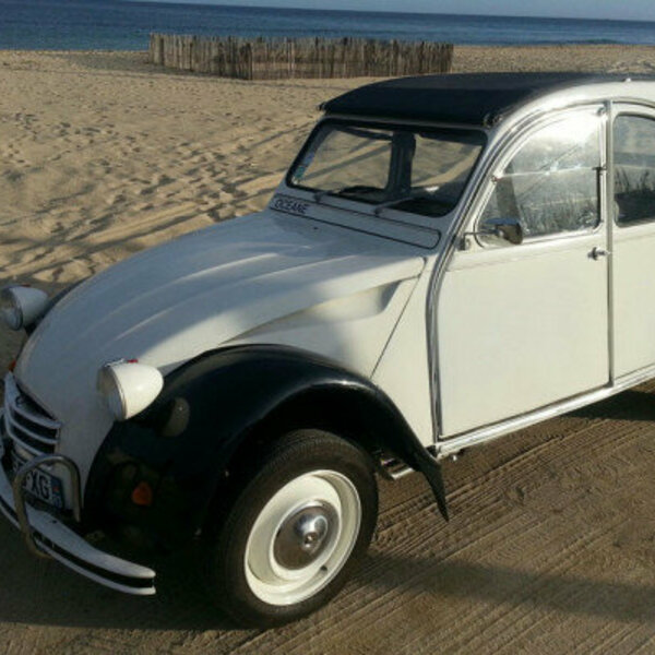 Balade et visite d'un domaine viticole en 2CV ou Méhari avec chauffeur