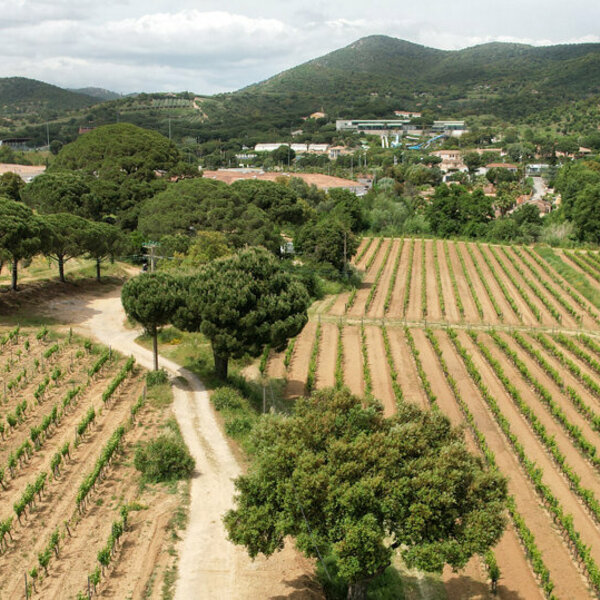 Le Clos de Ste Maxime 1