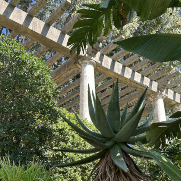 Ticket pour le Jardin des Méditerranées