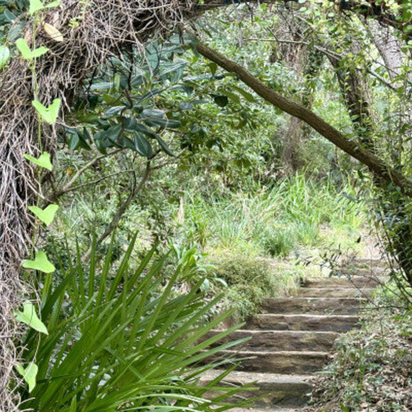 Ticket pour le Jardin des Méditerranées