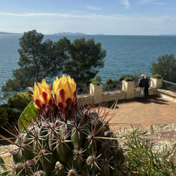 Ticket pour le Jardin des Méditerranées