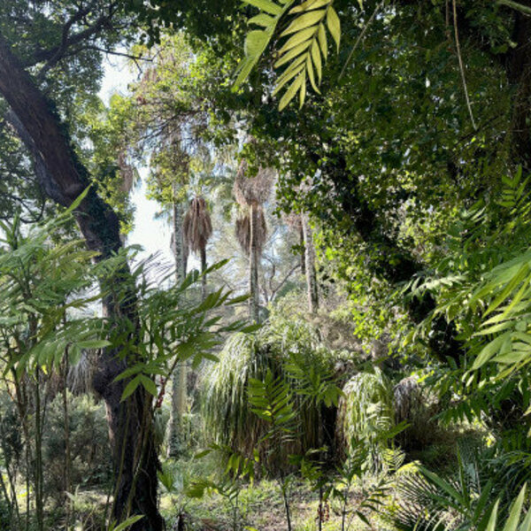 Ticket pour le Jardin des Méditerranées