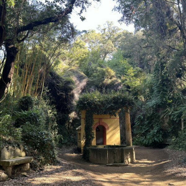 Ticket pour le Jardin des Méditerranées